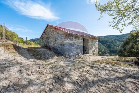 Helårsgrund i Cacarilhe e Infesta, Braga, Cacarilhe e Infesta - € 35.000 | Ref: 126221008-251 - foto 6