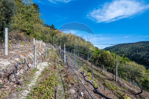 Helårsgrund i Cacarilhe e Infesta, Braga, Cacarilhe e Infesta - € 35.000 | Ref: 126221008-251 - foto 7