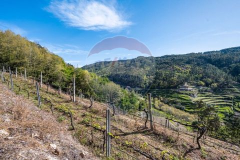 Helårsgrund i Cacarilhe e Infesta, Braga, Cacarilhe e Infesta - € 35.000 | Ref: 126221008-251 - foto 8