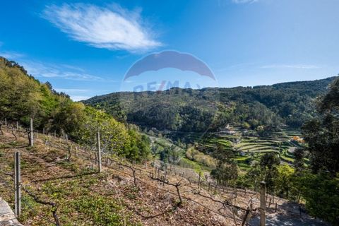 Helårsgrund i Cacarilhe e Infesta, Braga, Cacarilhe e Infesta - € 35.000 | Ref: 126221008-251 - foto 9