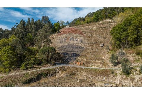 Helårsgrund i Cacarilhe e Infesta, Braga, Cacarilhe e Infesta - € 35.000 | Ref: 126221008-251 - foto 10