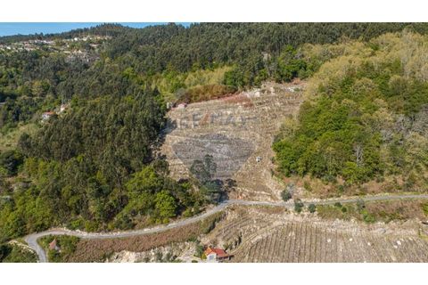 Helårsgrund i Cacarilhe e Infesta, Braga, Cacarilhe e Infesta - € 35.000 | Ref: 126221008-251 - foto 11