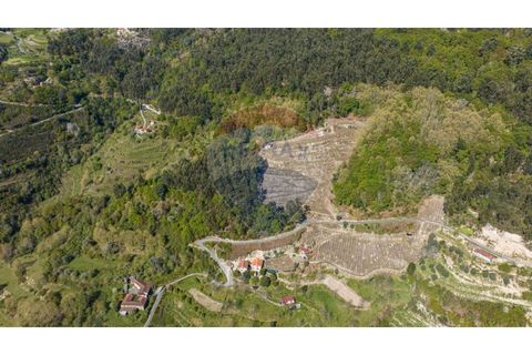 Helårsgrund i Cacarilhe e Infesta, Braga, Cacarilhe e Infesta - € 35.000 | Ref: 126221008-251 - foto 12
