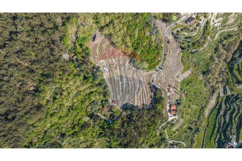 Helårsgrund i Cacarilhe e Infesta, Braga, Cacarilhe e Infesta - € 35.000 | Ref: 126221008-251 - foto 14