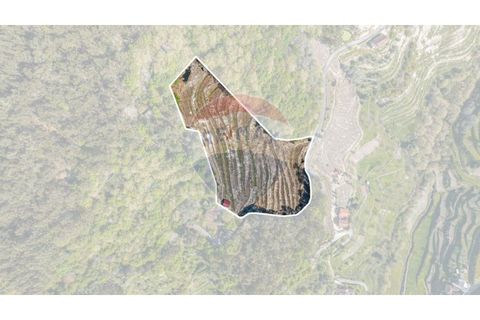 Helårsgrund i Cacarilhe e Infesta, Braga, Cacarilhe e Infesta - € 35.000 | Ref: 126221008-251 - foto 15