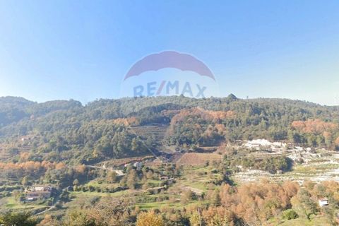 Helårsgrund i Cacarilhe e Infesta, Braga, Cacarilhe e Infesta - € 35.000 | Ref: 126221008-251 - foto 16