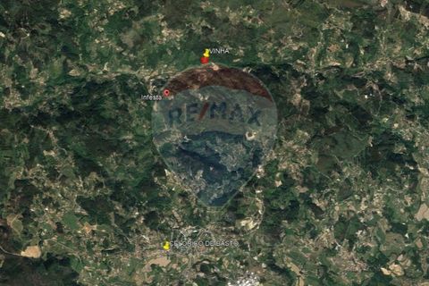 Helårsgrund i Cacarilhe e Infesta, Braga, Cacarilhe e Infesta - € 35.000 | Ref: 126221008-251 - foto 18