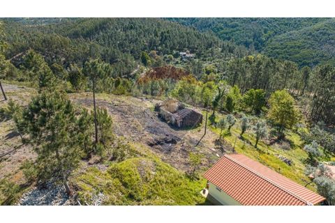 Villa i Celorico de Basto, Braga, Celorico de Basto - € 36.000 | Ref: 126221008-255 - foto 3