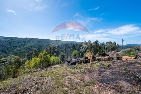 Villa i Celorico de Basto, Braga, Celorico de Basto - € 36.000 | Ref: 126221008-255 - foto 4