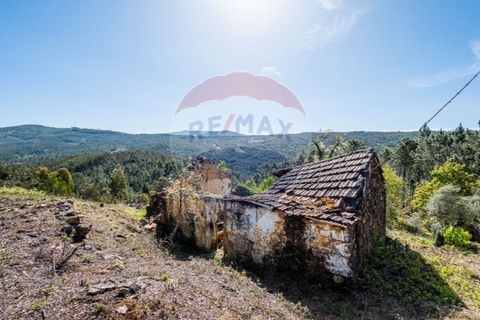 Villa i Celorico de Basto, Braga, Celorico de Basto - € 36.000 | Ref: 126221008-255 - foto 5