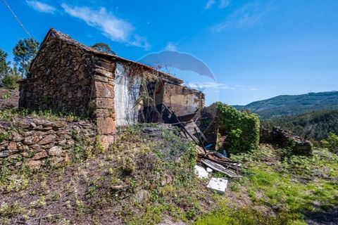 Villa i Celorico de Basto, Braga, Celorico de Basto - € 36.000 | Ref: 126221008-255 - foto 6