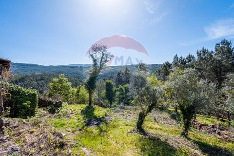 Villa i Celorico de Basto, Braga, Celorico de Basto - € 36.000 | Ref: 126221008-255 - foto 7