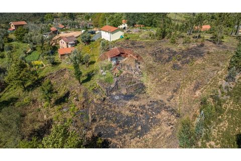 Villa i Celorico de Basto, Braga, Celorico de Basto - € 36.000 | Ref: 126221008-255 - foto 10