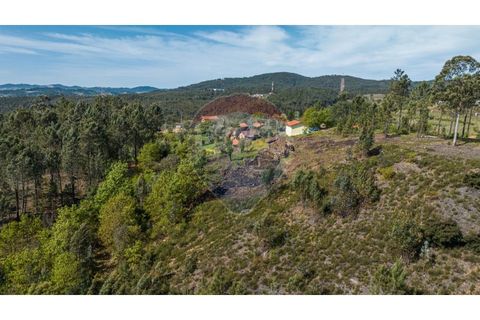 Villa i Celorico de Basto, Braga, Celorico de Basto - € 36.000 | Ref: 126221008-255 - foto 11