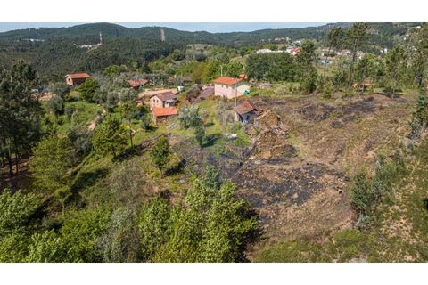 Villa i Celorico de Basto, Braga, Celorico de Basto - € 36.000 | Ref: 126221008-255 - foto 12