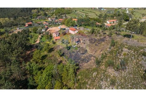 Villa i Celorico de Basto, Braga, Celorico de Basto - € 36.000 | Ref: 126221008-255 - foto 13