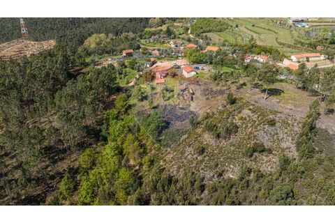 Villa i Celorico de Basto, Braga, Celorico de Basto - € 36.000 | Ref: 126221008-255 - foto 14