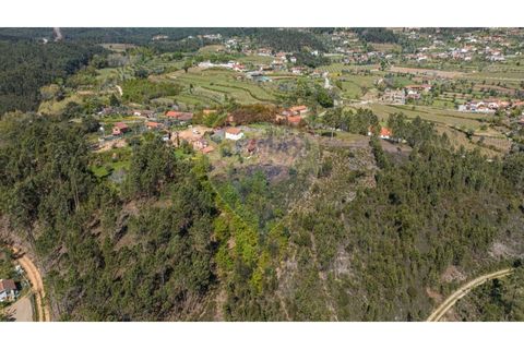 Villa i Celorico de Basto, Braga, Celorico de Basto - € 36.000 | Ref: 126221008-255 - foto 15