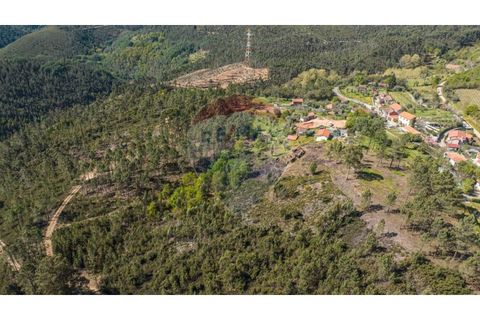 Villa i Celorico de Basto, Braga, Celorico de Basto - € 36.000 | Ref: 126221008-255 - foto 16
