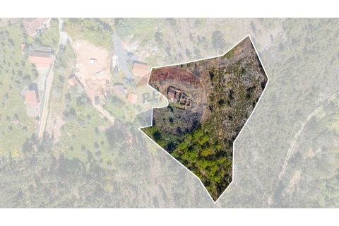 Villa i Celorico de Basto, Braga, Celorico de Basto - € 36.000 | Ref: 126221008-255 - foto 20