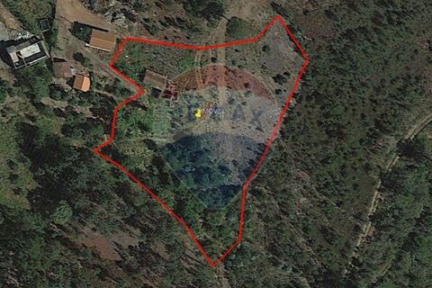 Villa i Celorico de Basto, Braga, Celorico de Basto - € 36.000 | Ref: 126221008-255 - foto 21
