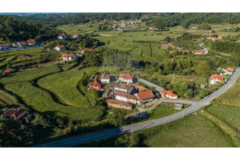 Villa a Braga, Braga, Braga - € 40.000 | Ref: 126221008-305 - foto 8