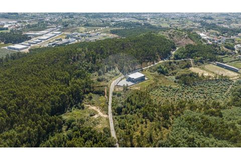 Terra a Sande (Vila Nova), Braga, Sande (Vila Nova) - € 64.000 | Ref: 126221008-307 - foto 3