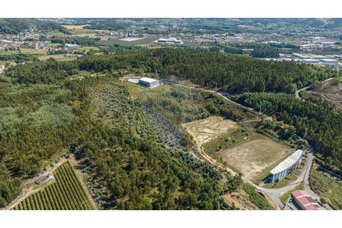 Terra a Sande (Vila Nova), Braga, Sande (Vila Nova) - € 64.000 | Ref: 126221008-307 - foto 5