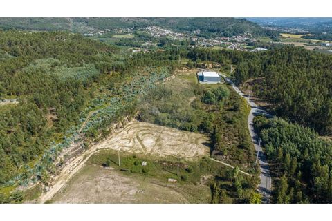 Terra a Sande (Vila Nova), Braga, Sande (Vila Nova) - € 64.000 | Ref: 126221008-307 - foto 6
