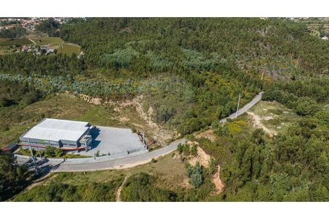 Terra a Sande (Vila Nova), Braga, Sande (Vila Nova) - € 64.000 | Ref: 126221008-307 - foto 2