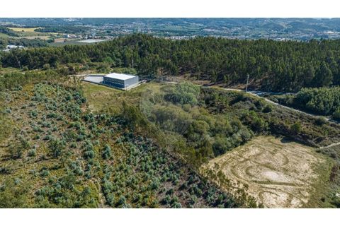 Terra a Sande (Vila Nova), Braga, Sande (Vila Nova) - € 64.000 | Ref: 126221008-307 - foto 7