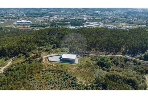 Terra a Sande (Vila Nova), Braga, Sande (Vila Nova) - € 64.000 | Ref: 126221008-307 - foto 8