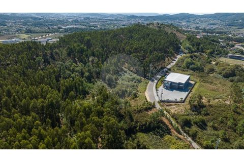 Terra a Sande (Vila Nova), Braga, Sande (Vila Nova) - € 64.000 | Ref: 126221008-307 - foto 9