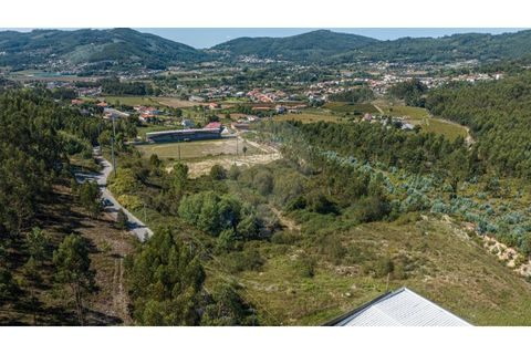 Terra a Sande (Vila Nova), Braga, Sande (Vila Nova) - € 64.000 | Ref: 126221008-307 - foto 10