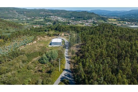 Terra a Sande (Vila Nova), Braga, Sande (Vila Nova) - € 64.000 | Ref: 126221008-307 - foto 11