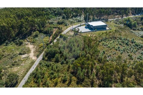 Terra a Sande (Vila Nova), Braga, Sande (Vila Nova) - € 64.000 | Ref: 126221008-307 - foto 13