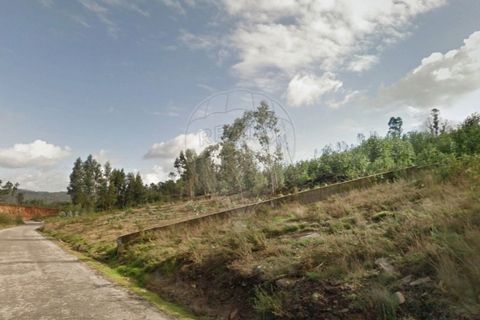 Terra a Sande (Vila Nova), Braga, Sande (Vila Nova) - € 64.000 | Ref: 126221008-307 - foto 18