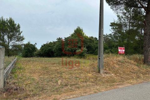 Helårsgrund i Ourem, Santarem, Ourem - € 59.000 | Ref: 1328 - foto 2