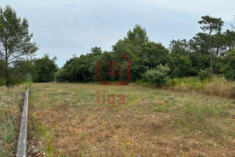 Helårsgrund i Ourem, Santarem, Ourem - € 59.000 | Ref: 1328 - foto 3