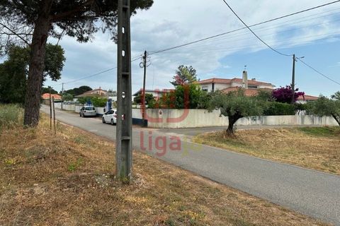 Helårsgrund i Ourem, Santarem, Ourem - € 59.000 | Ref: 1328 - foto 4