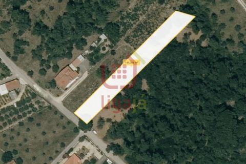 Helårsgrund i Ourem, Santarem, Ourem - € 59.000 | Ref: 1328 - foto 5