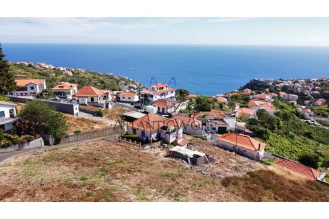 Villa i Calheta, Madeira, Calheta - € 357.000 | Ref: Wolf_017 - foto 4