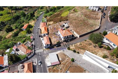 Villa i Calheta, Madeira, Calheta - € 357.000 | Ref: Wolf_017 - foto 12