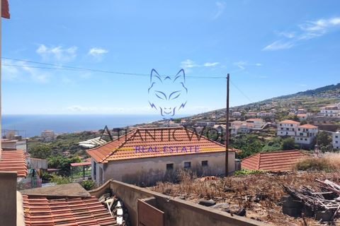 Villa i Calheta, Madeira, Calheta - € 357.000 | Ref: Wolf_017 - foto 22