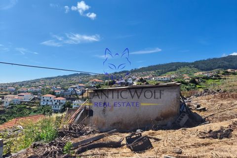 Villa i Calheta, Madeira, Calheta - € 357.000 | Ref: Wolf_017 - foto 24