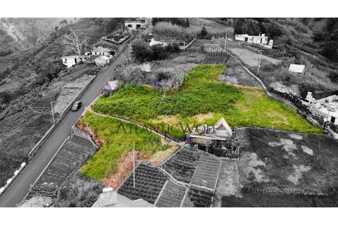 Helårsgrund i Ponta do Sol, Madeira, Ponta do Sol - € 120.000 | Ref: Wolf_016 - foto 1