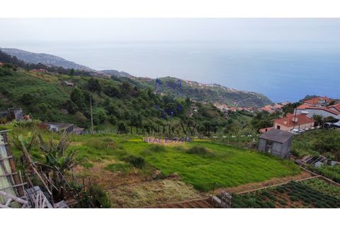Helårsgrund i Ponta do Sol, Madeira, Ponta do Sol - € 120.000 | Ref: Wolf_016 - foto 3