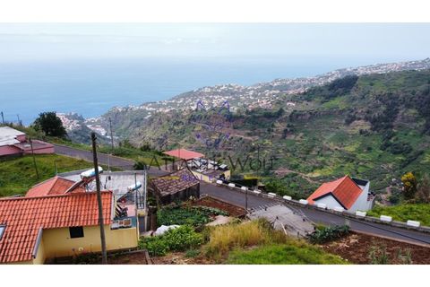 Helårsgrund i Ponta do Sol, Madeira, Ponta do Sol - € 120.000 | Ref: Wolf_016 - foto 4