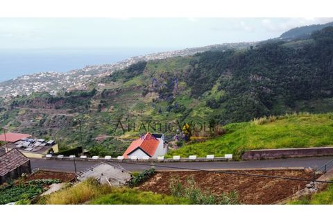 Helårsgrund i Ponta do Sol, Madeira, Ponta do Sol - € 120.000 | Ref: Wolf_016 - foto 5