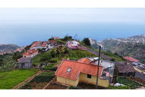 Helårsgrund i Ponta do Sol, Madeira, Ponta do Sol - € 120.000 | Ref: Wolf_016 - foto 6